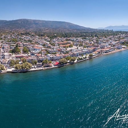 Seaside Villa Andronikos อมารินโธส ภายนอก รูปภาพ