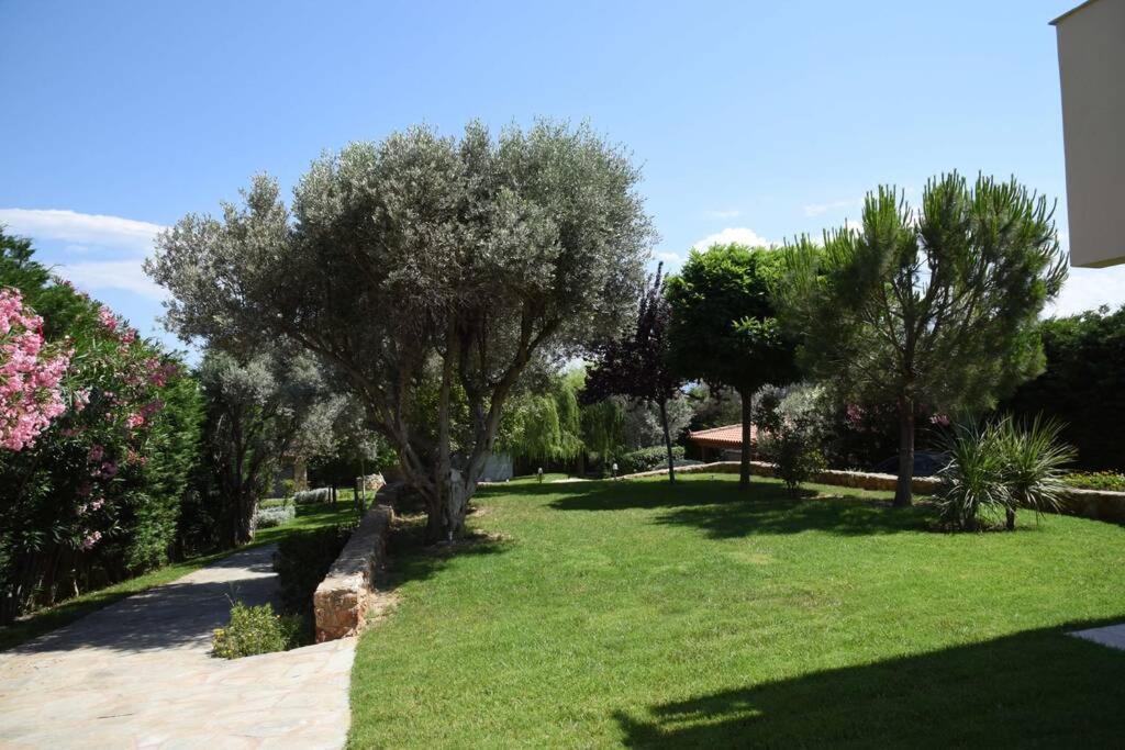 Seaside Villa Andronikos อมารินโธส ภายนอก รูปภาพ