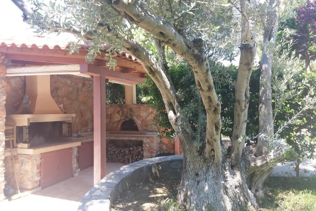 Seaside Villa Andronikos อมารินโธส ภายนอก รูปภาพ