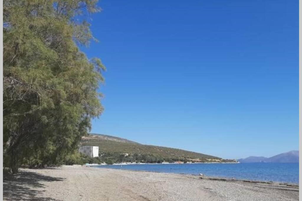 Seaside Villa Andronikos อมารินโธส ภายนอก รูปภาพ