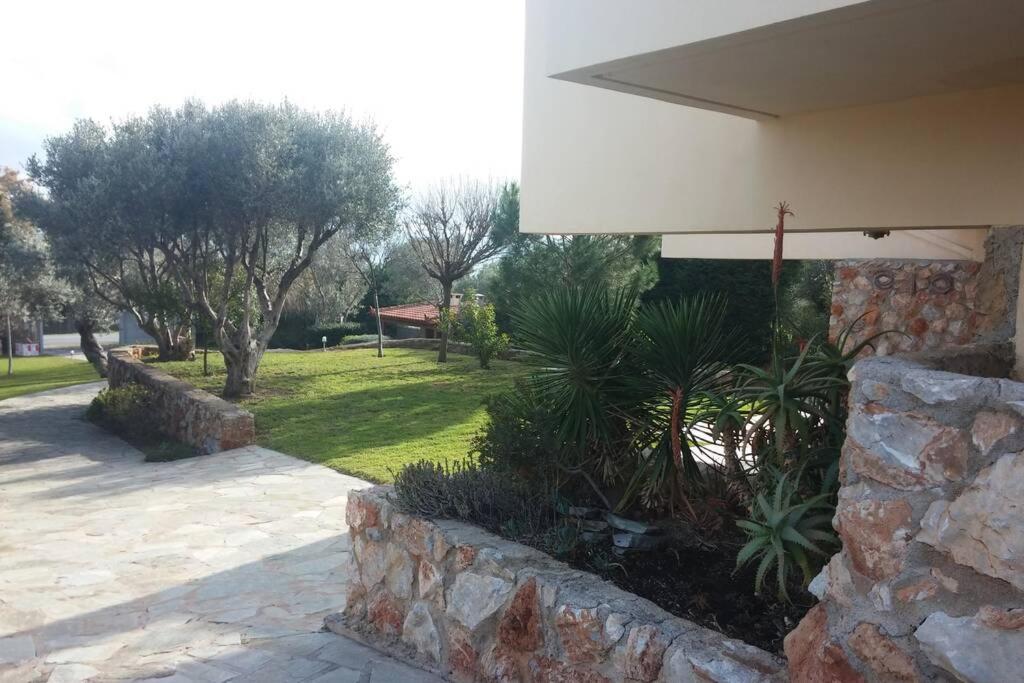 Seaside Villa Andronikos อมารินโธส ภายนอก รูปภาพ