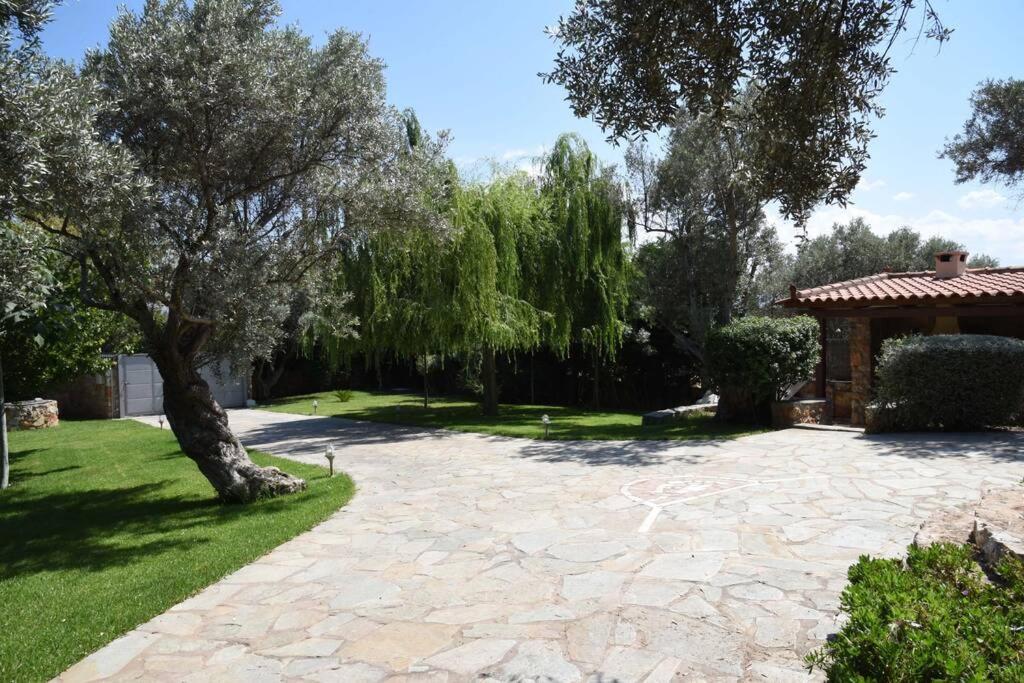 Seaside Villa Andronikos อมารินโธส ภายนอก รูปภาพ