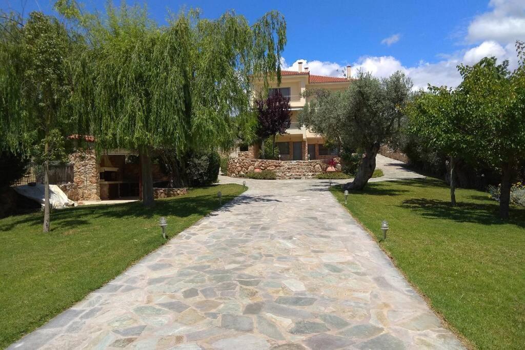 Seaside Villa Andronikos อมารินโธส ภายนอก รูปภาพ