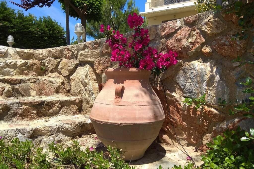 Seaside Villa Andronikos อมารินโธส ภายนอก รูปภาพ