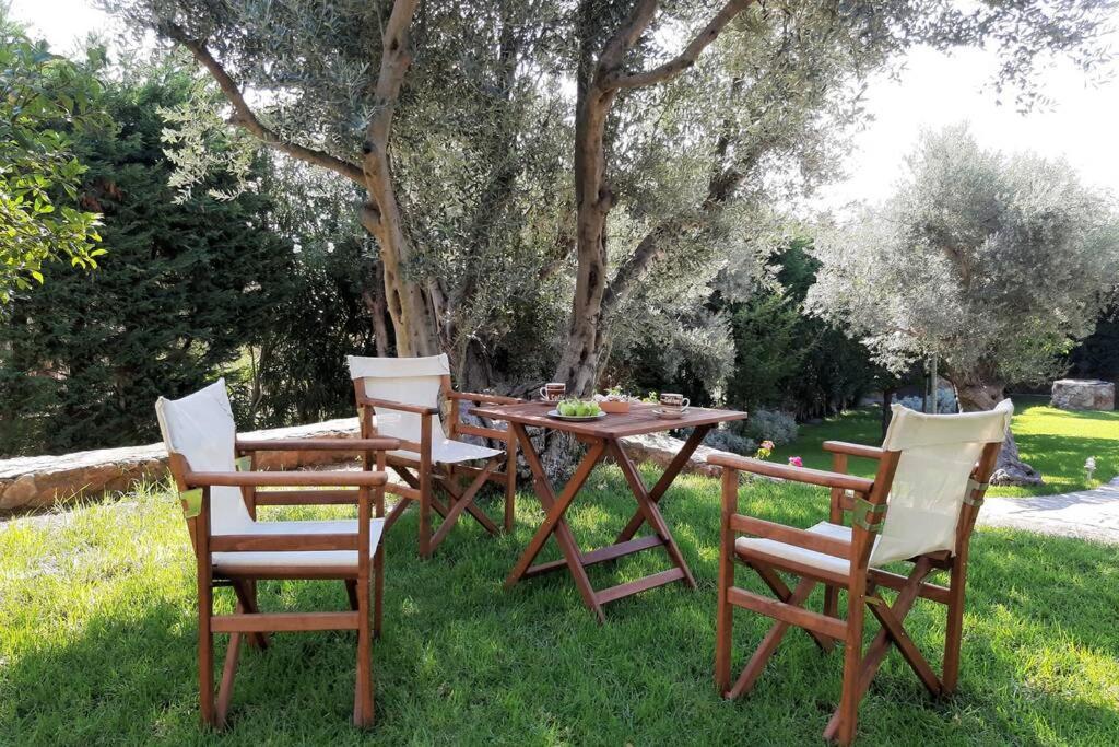 Seaside Villa Andronikos อมารินโธส ภายนอก รูปภาพ