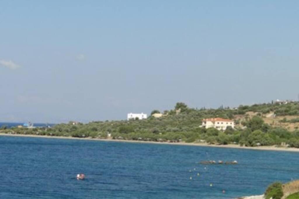 Seaside Villa Andronikos อมารินโธส ภายนอก รูปภาพ