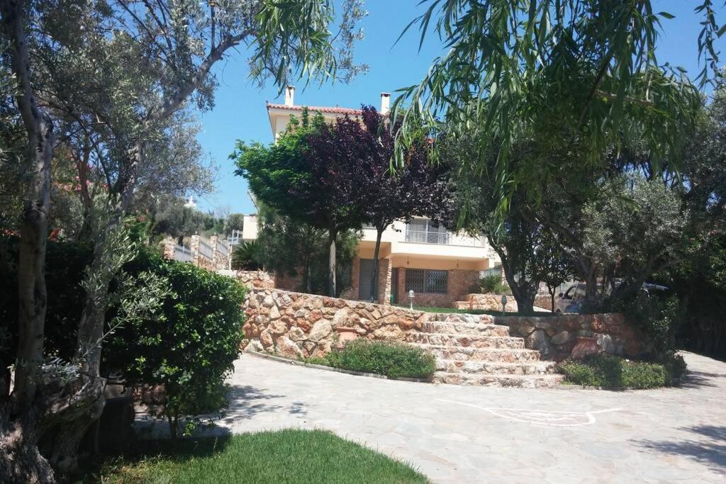 Seaside Villa Andronikos อมารินโธส ภายนอก รูปภาพ