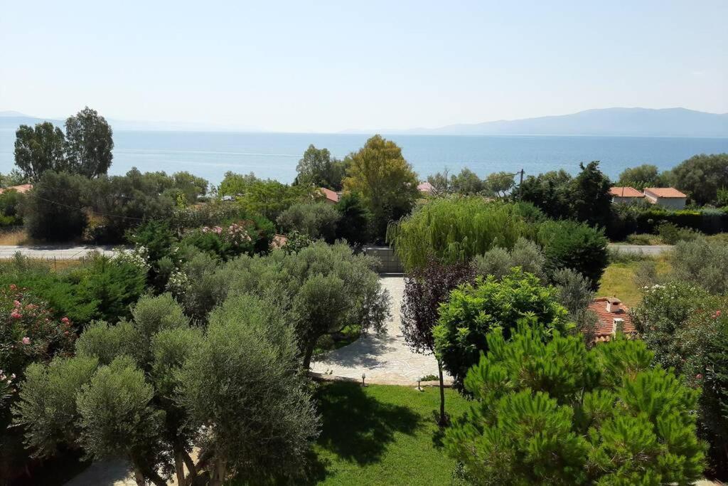 Seaside Villa Andronikos อมารินโธส ภายนอก รูปภาพ