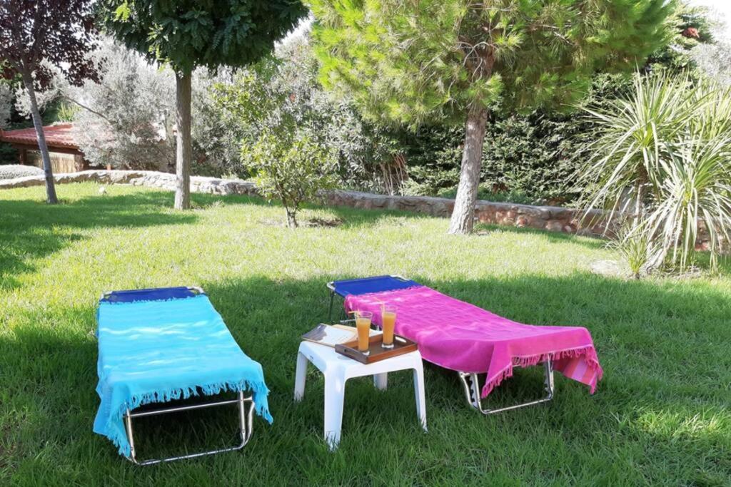 Seaside Villa Andronikos อมารินโธส ภายนอก รูปภาพ