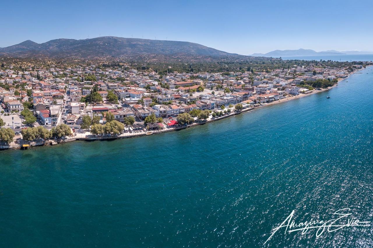 Seaside Villa Andronikos อมารินโธส ภายนอก รูปภาพ