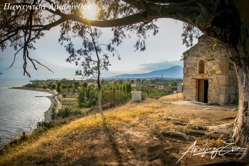 Seaside Villa Andronikos อมารินโธส ภายนอก รูปภาพ